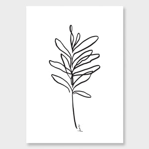 
                  
                    Load image into Gallery viewer, Botanicals Set of three
                  
                