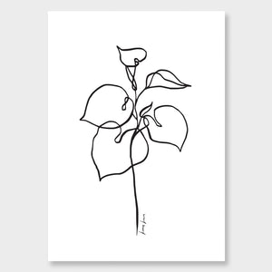 
                  
                    Load image into Gallery viewer, Botanicals Set of three
                  
                